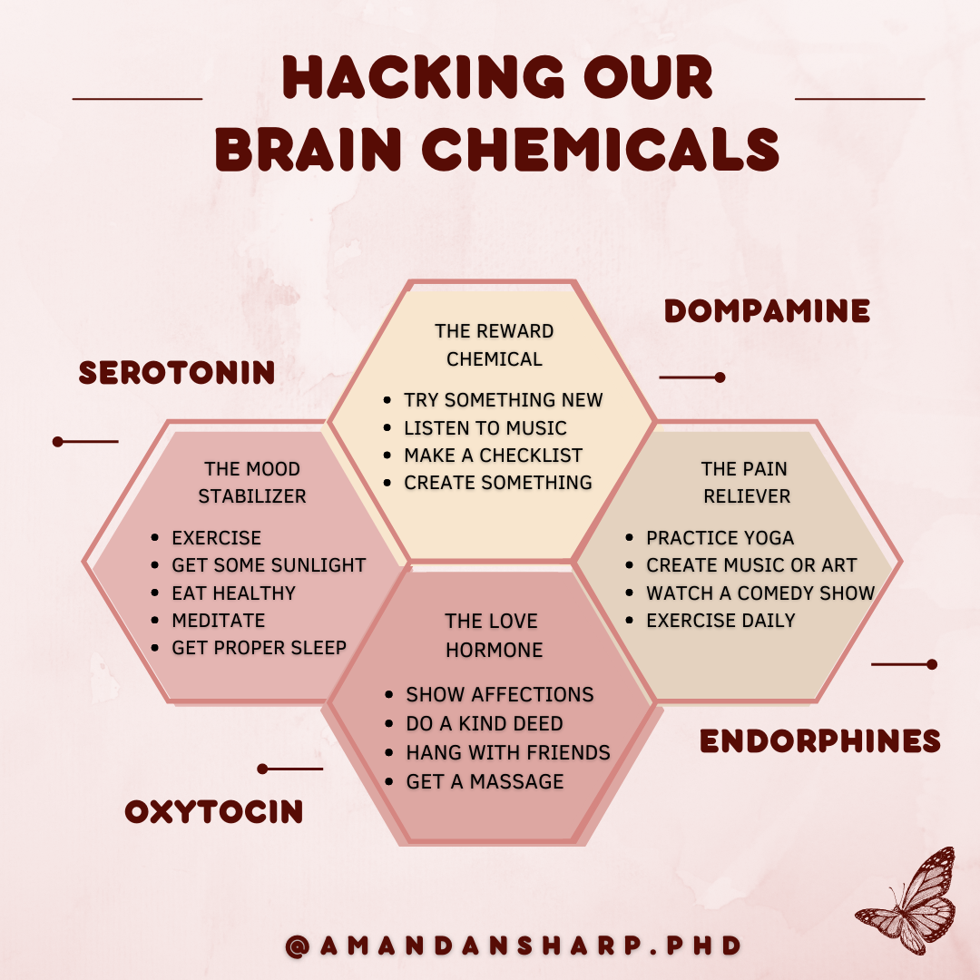 Graphic about hacking our brains with serotonin, dopamine, oxytocin, endorphins, and mood-supporting habits