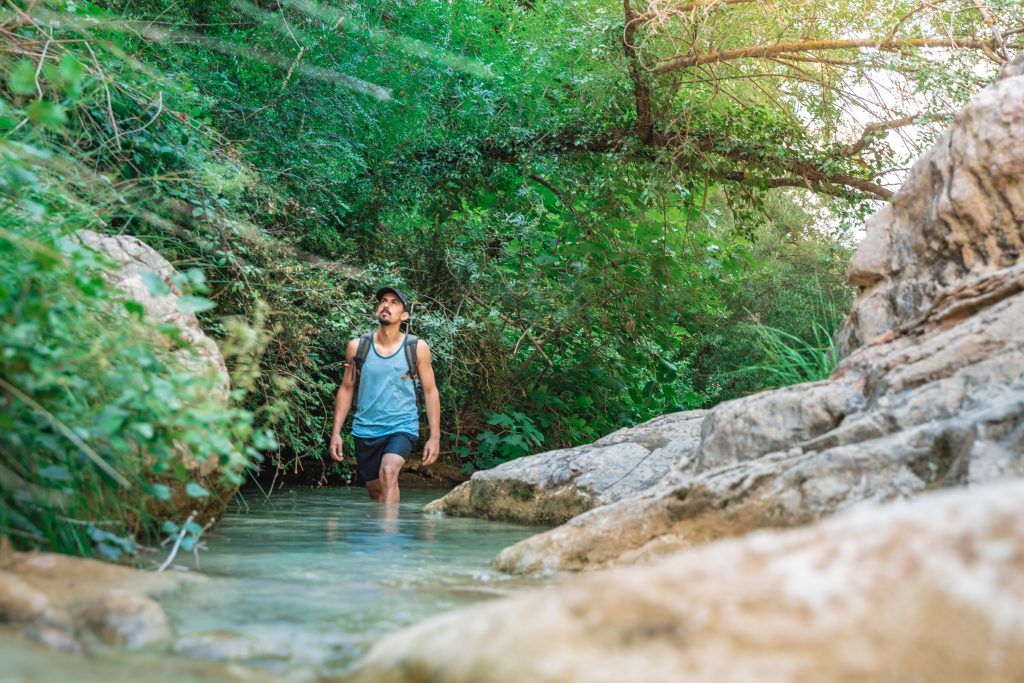 Person hiking through a shallow rocky creek surrounded by greenery.