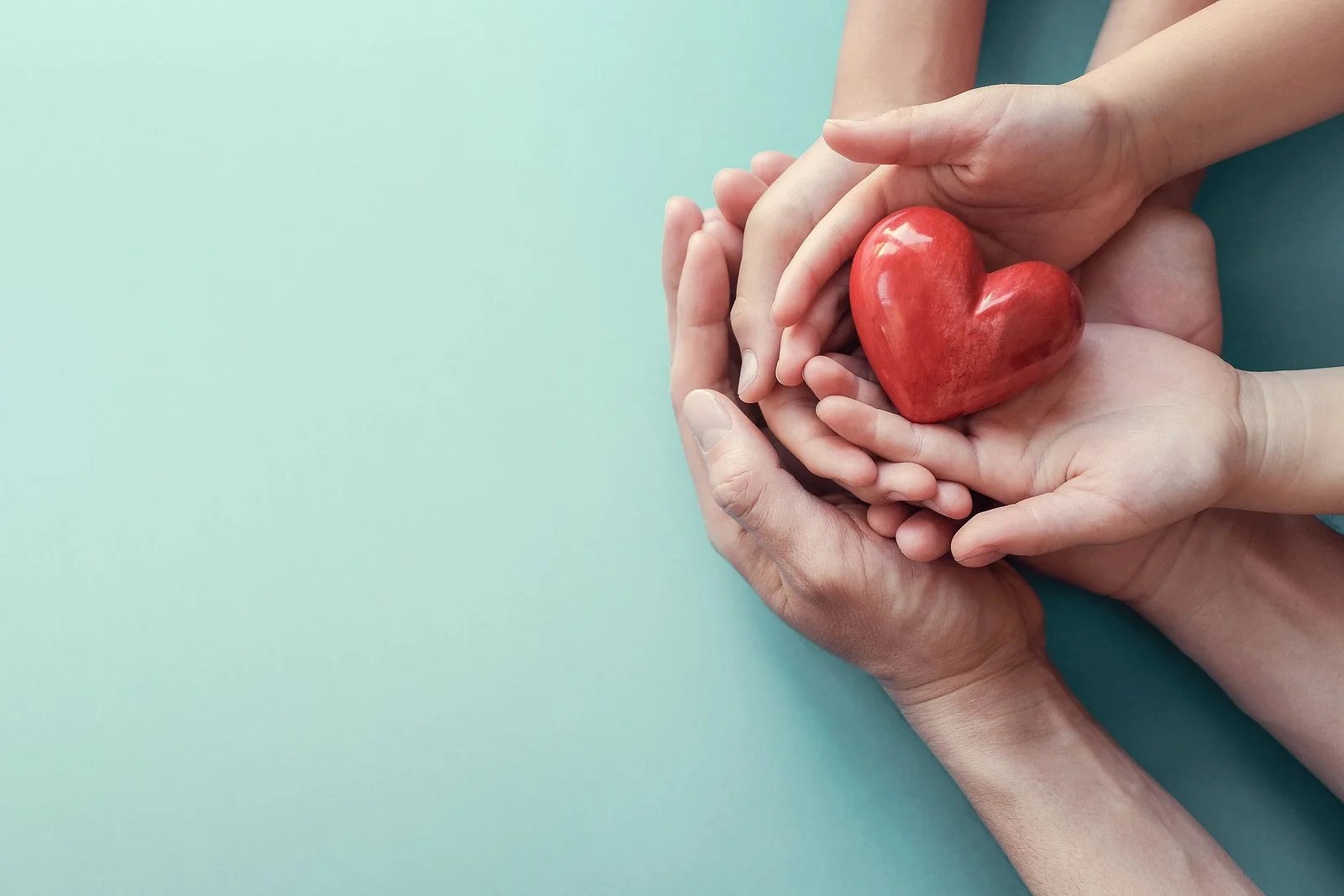 Hands gently holding a red heart symbol of care and compassion.